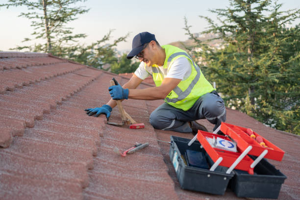 Best Best Roofing Contractors  in North Aurora, IL